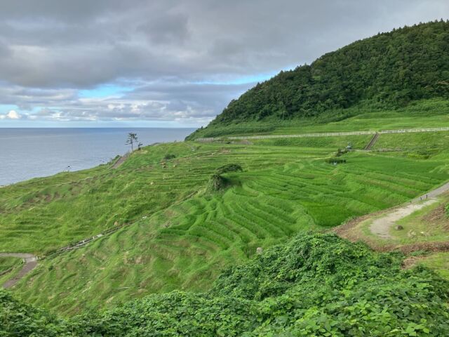 今日の白米千枚田　#いまそら　 #輪島市 　#いまうみ　#空　#雲　#風景　#風景写真
#風景写真を撮るのが好きな人と繋がりたい
#風景写真を撮るのが好きな人と繋がりたい
#風景攝影
#風景写真が好き
#カメラ
#カメラ女子
#カメラ好きな人と繋がりたい
#北陸　#石川　#能登　#能登半島　#輪島　　　#輪島市